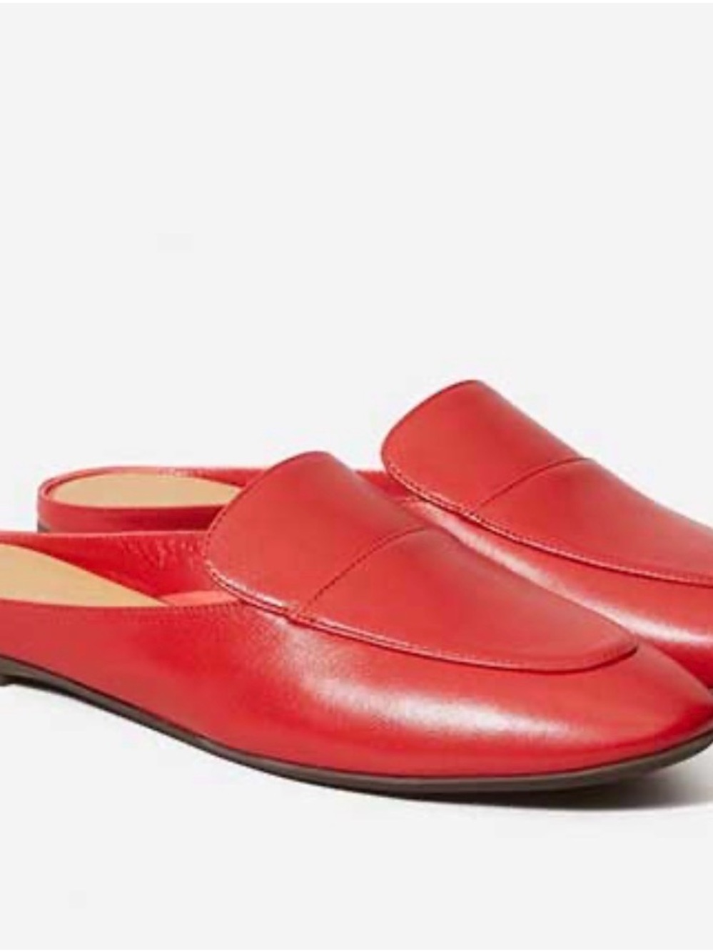 Everlane Day Loafer Mule